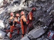 包含土耳其队中卫脖子受伤，是否能战斗未知的词条